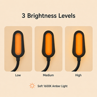 Lampe de lecture LED innovante et portable 2026, couleur ambre, pour la lecture, le camping, la randonnée, l'éclairage d'urgence en extérieur