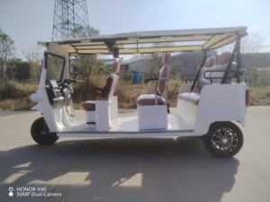 Triciclo EEC Tuk Tuk con Registro Oficial y Soporte para Matrícula para Países Europeos, 7500w de Alta Potencia - Product Image 4