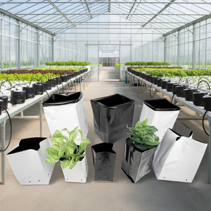 Sacchi per Piante in Plastica PE Bianchi e Neri da 7 Galloni o Personalizzabili, per Alberi da Frutto e Ortaggi - Product Image 6