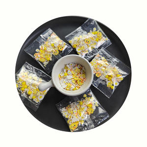 500g di Decorazioni in Argilla Polimerica, Fette di Pulcini e Uova di Pasqua Assortite - Product Image 6