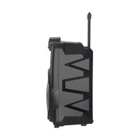 Enceinte de fête RGB 40W avec basses de 8 pouces, haute qualité, portable, multifonctionnelle, télécommande, mini-boîte FM pour extérieur et sport NDR-122