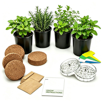 Kit de démarrage pour le jardinage d'herbes vivantes d'intérieur et les semis de plantes Kit de repiquage de bricolage pour débutants et enfants