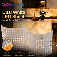 Feuille lumineuse LED flexible bicolore CCT 2700+6500K réglable, SMD2835, feuille de rétroéclairage LED flexible double blanc