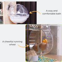 Cage à hamster extra-large à 3 niveaux, rectangulaire, en acrylique transparent, écologique |   Boîte de reproduction de luxe pour hamster doré