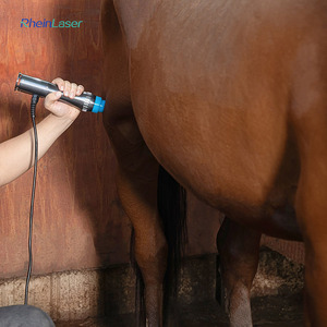 Rheinlaser tập trung Shockwave Máy trị liệu cho hiệu quả ngựa chó đau điều trị - Product Image 1