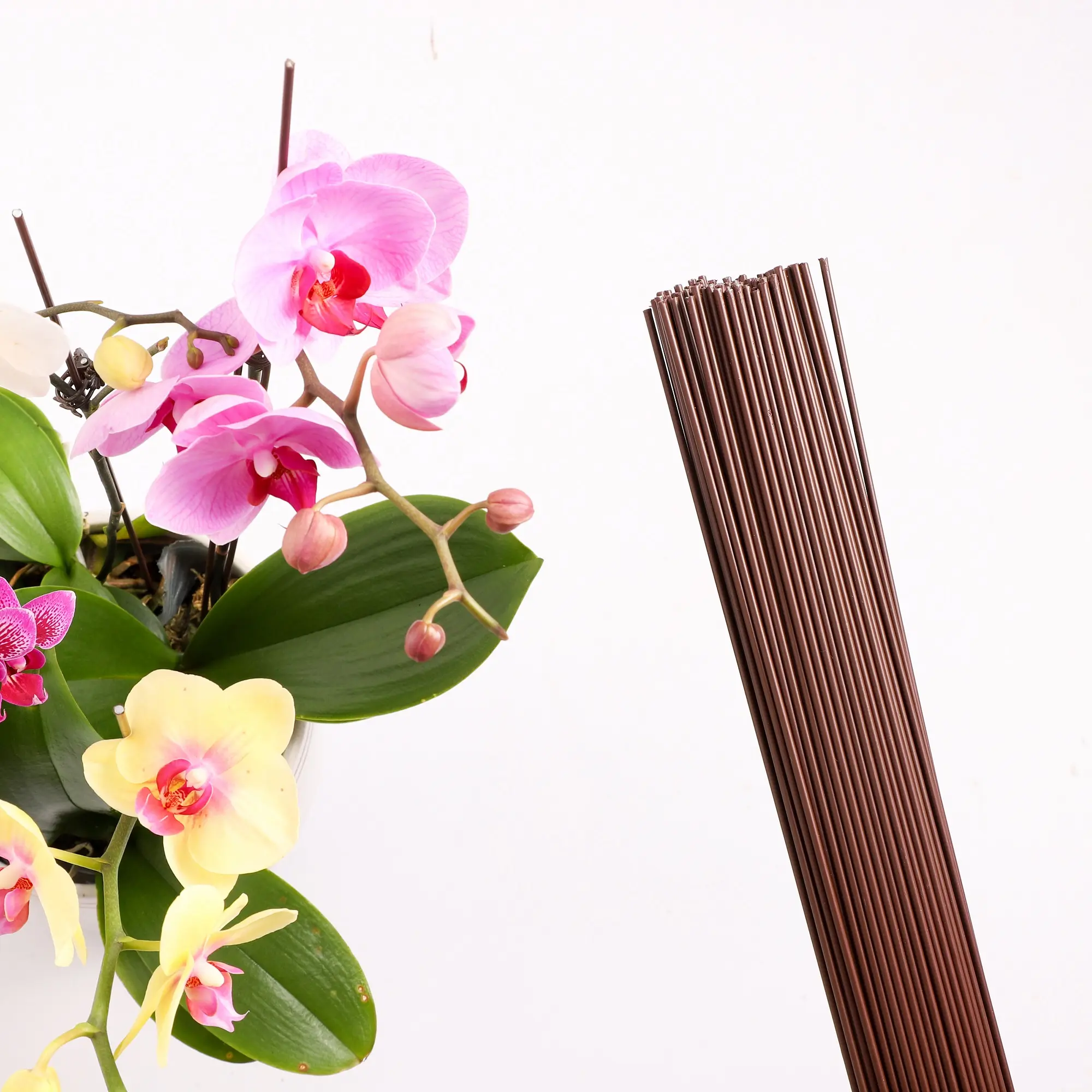 Цветочный цветок рекомендует прочный пластиковый стержень из железной проволоки настраиваемой длины бабочка Орхидея опора для растений