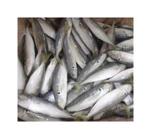 Pescado Caballa Congelado, Venta Caliente, Pescado Caballa Fresco <span class=keywords><strong>de</strong></span> Calidad, Pescado Arenque - Product Image 3