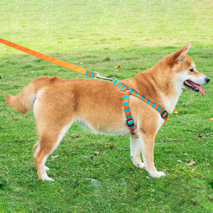 Correa de moda para mascotas estilo chaleco, ajustable, para perros pequeños y medianos, conjunto de correa para pasear perros con arnés de pecho a rayas. - Product Image 2