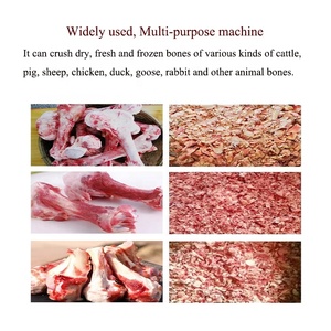 Ommercial-trituradora de huesos de animales de acero inoxidable, trituradora de huesos de ganado y ovejas para sopa de restaurante, PG-300 - Product Image 5