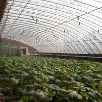 Serre verte isolée en zone froide Agriculture Serre solaire passive d'hiver commerciale