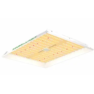 Alta PPFD Umol Full Spectrum LED Planta Crescer Luz Marshydro TS1000 Cobertura 2.5ft x 2.5ft 150W para Horticultura Agrícola Vertical