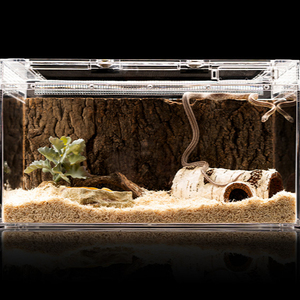 Cage grimpante en acrylique pour animaux de compagnie, réservoir de forêts, de lizard palace, garde des cornes de grenouille, hernie et crabe, ZJDS