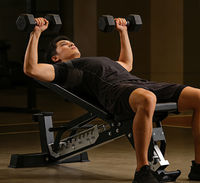Banc de musculation professionnel réglable et pliable pour haltères et barres, idéal pour l'entraînement de force et l'haltérophilie – Fournisseur direct usine