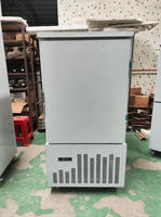 Freezer Vertikal Komersial Cepat Dingin Full Stainless Steel 14-15 Tray Motor Temperatur Dapat Diatur Penyimpanan Makanan Restoran