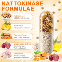 SOLOTREE Marque Privée 240 Capsules d'Enzymes de Natto avec CoQ10 – Complément de Nattokinase Antioxydant pour le Soutien de la Circulation Énergétique
