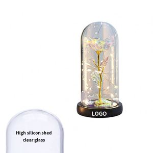 Custom Valentines Day Dome <b>Dried</b> Flower Women Light Plastic Rose Gift With Box - Product Image 3