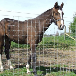 Vendita calda nodo ad alta resistenza con nodo e recinzione in filo di acciaio zincato recinzione soggiorno <span class=keywords><strong>tufo</strong></span> 48 pollici di altezza 300 lungo - Product Image 4