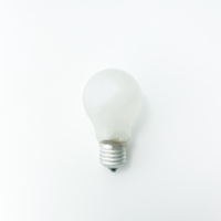 Ampoule LED Edison Incandescente Transparente Givrée 100W 200W 110V 220V A60 E27 B22