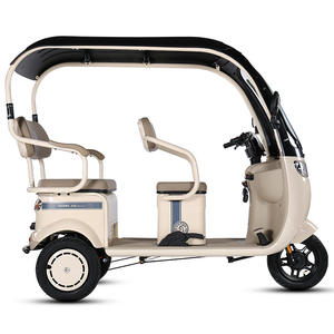 Kanopi <span class=keywords><strong>Trike</strong></span> kargo listrik 1000W, daya Motor 1000W, kapasitas muatan 400kg, bahan baja 60v, sepeda roda tiga penumpang - Product Image 1