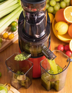 Slow Masticating Juicer <b>Extractor</b> Dual Feed Juicer Machine for Fruit and Vegetable <b>Juice</b> Making - Product Image 1