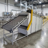 Kushen en Marigold graandroger, droogmachine, groente- en fruitdroger met meerlaags gaasband.