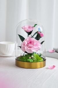 Roses éternelles sous cloche en verre, fleurs roses véritables avec base dorée et mousse, décoration intérieure durable sans entretien - Product Image 2
