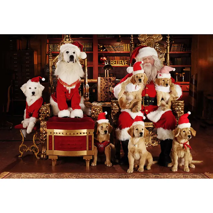 טובה באיכות סיטונאי מותאם אישית DIY חג המולד רבים חיות מחמד כלבים יהלומי ציור