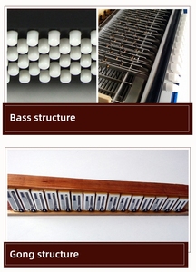 <span class=keywords><strong>Accordéon</strong></span> en celluloïd 22 touches 8 basses avec sangles réglables Sac de transport Instrument de musique pour enfants débutants Cadeaux musicaux pour enfants - Product Image 6