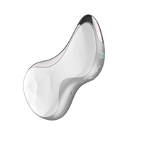 Outil de sculpture du visage électrique portable pour la réduction des rides et des poches, avec chaleur et vibrations, alimenté par USB, en plastique, Gua Sha facial pour usage domestique