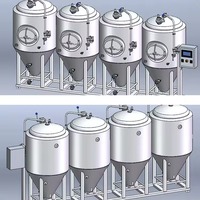 Système de fermentation en acier inoxydable 304/316 500 L, cuve de fermentation pour brasserie artisanale, bar, pub, restaurant