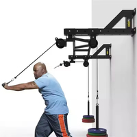 Peralatan Fitness Gym Rumahan: Blok Katrol Latihan Kekuatan Multifungsi Baja, Bar Paralel Tunggal, Bar Tarik Dinding