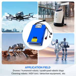 Aangepaste 48V 40Ah Samsung 50S Lithium-batterijpakket met schokbestendige structuur, hoge vermogensstabiliteit en stabiele ontlading voor zware robotapparatuur - Product Image 5