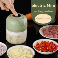 Multifunctionele Mini Elektrische Keuken Gereedschap Metalen Usb Mini Food Processor Voor Het Snijden Van Fruit En Groenten Inclusief Knoflook Ui