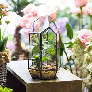 Grand terrarium en verre noir, pot de fleurs, jardinière, écologique, unique, style Art déco, décoration pour la maison, le jardin, les mariages, <span class=keywords><strong>cadre</strong></span> géométrique transparent - Product Image 6