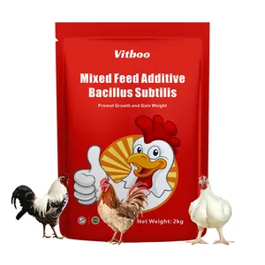 Multivitamínico em pó para carne de frango, intensificador de crescimento rápido e ganho de peso, aditivos para alimentação de aves