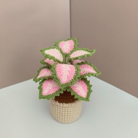CLTF 2026 Mini plante en pot au crochet de haute qualité, faite à la main, calla, plante araignée, coleus, monstera, toujours verte, décoration de bureau