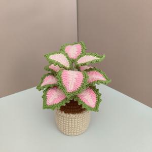 CLTF 2026 Mini Planta en Maceta de Ganchillo de Alta Calidad, Hecha a Mano, Lirio de los Valles, Planta Araña, Coleus, Monstera, Decoración de Escritorio Siempre Verde - Product Image 5