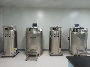 ถังไนโตรเจนเหลว 22psi สําหรับการจัดเก็บตัวอย่างทางชีวการแพทย์ LN2 ขวด dewar <span class=keywords><strong>LIN</strong></span> ถังแก๊สสําหรับห้องปฏิบัติการ - Product Image 5