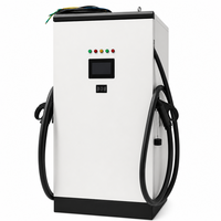 Station de recharge pour véhicules électriques à double borne, sur pied, 30 kW DC, OCPP 1.6
