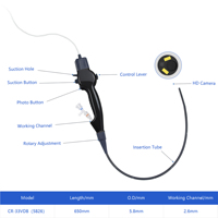Caméra HD portable USB, endoscope vétérinaire flexible, 5,8 mm de diamètre extérieur, canal de travail de 2,6 mm, tube flexible de 650 mm pour le diagnostic animal