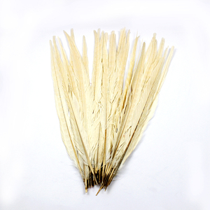 Plumas de Cola de Faisán de Collar Verde Natural de 50-55 cm - Product Image 6