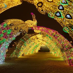 Fábrica Profesional <span class=keywords><strong>de</strong></span> Faroles en China, Faroles <span class=keywords><strong>de</strong></span> Seda LED Personalizados, Adecuados <span class=keywords><strong>para</strong></span> Parques Temáticos y Plazas <span class=keywords><strong>de</strong></span> la Ciudad - Product Image 2