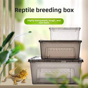 Scatola per Allevamento di Tartarughe, Incubazione di Rettili, Forniture per l'Inverno, per Lucertole, Rane, Serpenti, Salamandre, Ibernazione, Ecologica e Durevole - Product Image 2