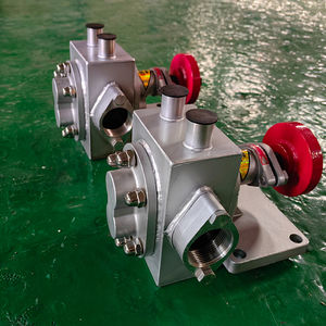 Pompe à engrenages isolée en acier inoxydable pour liquide visqueux Qualité alimentaire Miel <span class=keywords><strong>Sirop</strong></span> Chocolat Traitement des eaux usées Plateau tournant sanitaire - Product Image 6