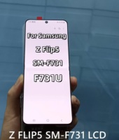 Pantalla LCD OEM WEEKNOW para Z Flip 5 F731B/DS de 6.7 Pulgadas, Reemplazo del Ensamblaje del Digitalizador de Pantalla Táctil, 1 Año de Garantía