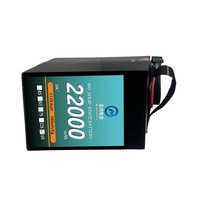 Livraison express inspection du circuit de photographie aérienne 10C 22000mAh 14S 51.8V batterie drone
