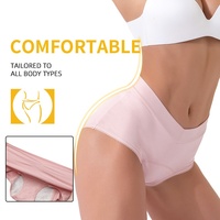 Culotte menstruelle antibactérienne taille haute en V pour femme, grande taille, style transfrontalier Europe-Amérique, anti-fuite