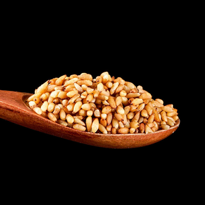 Bai <span class=keywords><strong>Zi</strong></span> Ren en gros, graines de Platycladus Orientalis séchées au soleil, pelées, pour usage en phytothérapie - Product Image 2