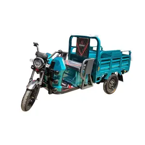 Strong Body Big Wheel Electric Motorcycle Three Wheel Farm Vehicles Cargo Loading Motor Tricycle