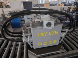 Nhà máy trực tiếp 12kv ba giai đoạn 50Hz ngoài trời HV tải phá vỡ và ngắt kết nối chuyển đổi FZW28-12 (vsp5) - Product Image 2